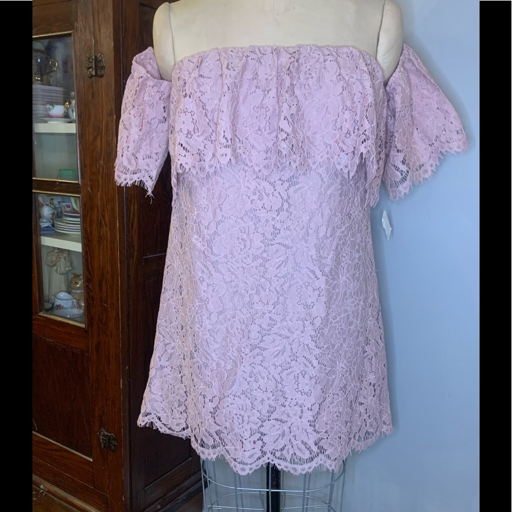 NWT Impeccable Pig Mauve Lace Off-Shoulder Top Lg
